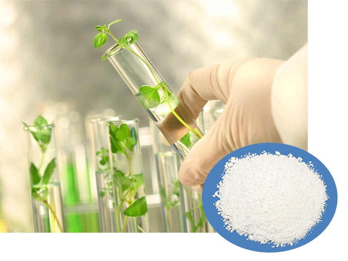 Sodium tripolyphosphate (STPP)