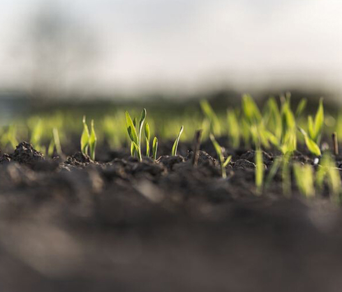 Solutions for agriculture and environment-Chuanlin Chemical
